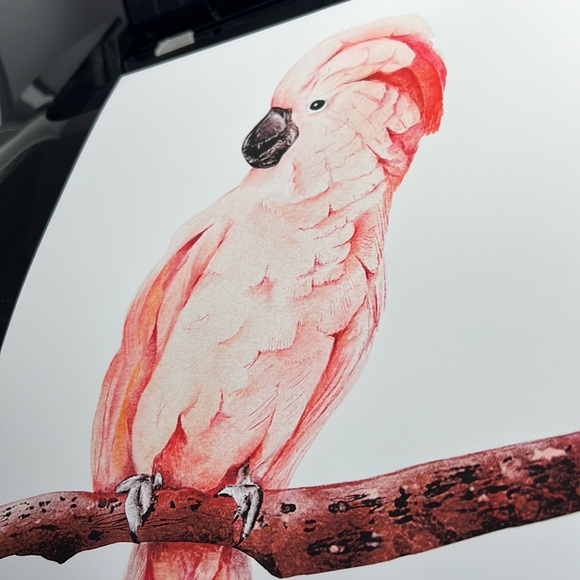 Wall Art Tropical Bird Portrait Print Unframed - Picture 13 of 15